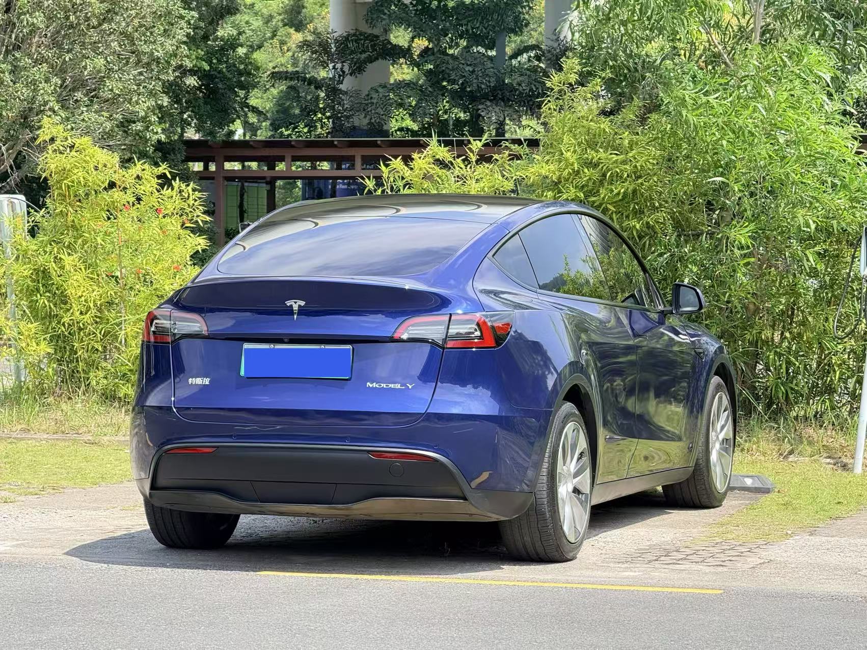 Tesla Model Y 2021 car image #9
