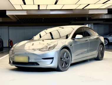 Tesla Model 3 2022 car image 