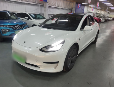 Tesla Model 3 2020 Tesla Model 3 2020 car image