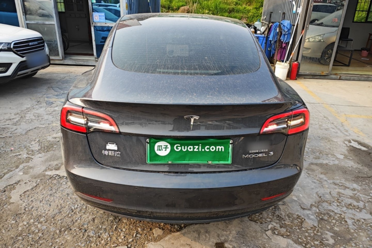 Tesla Model 3 2023 #6 Tesla Model 3 2023 car image #6