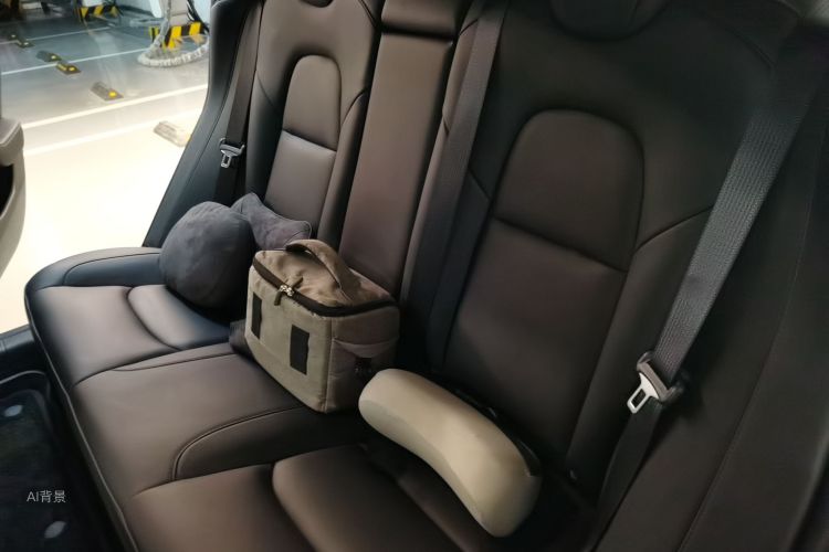 Tesla Model 3 2021 car image #19