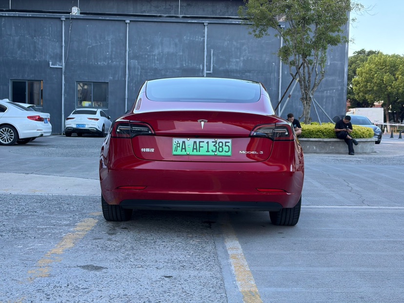 Tesla Model 3 2021 car image #4