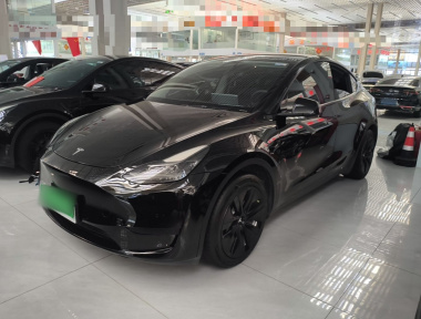 Tesla Model Y 2022 Tesla Model Y 2022 car image