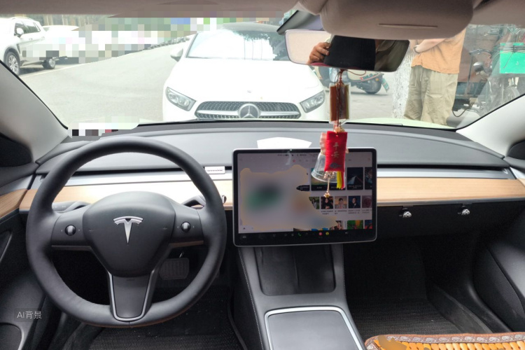 Tesla Model 3 2021 car image #11