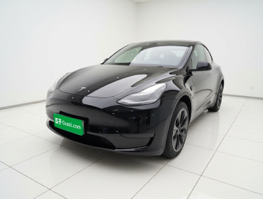 Tesla Model Y 2021 Tesla Model Y 2021 car image