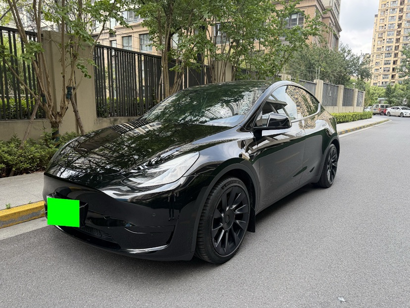 Tesla Model Y 2022 car image 