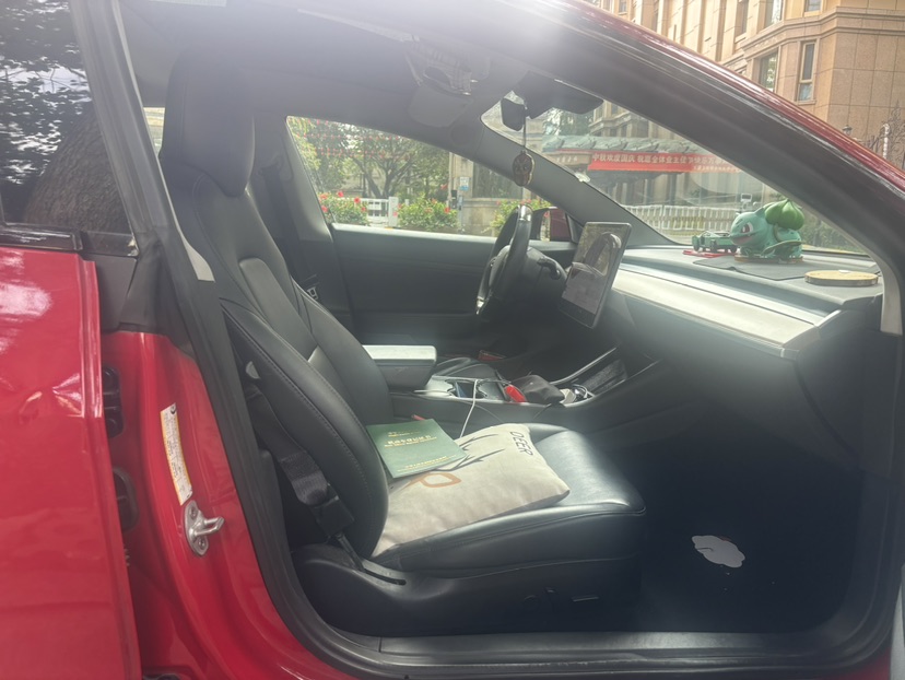 Tesla Model 3 2020 #7 Tesla Model 3 2020 car image #7