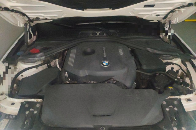 BMW 3 Series 2017 car image #22