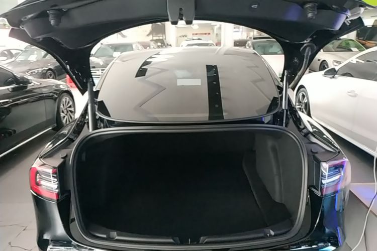 Tesla Model 3 2021 car image #19