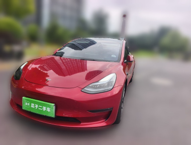 Tesla Model 3 2022 car image 