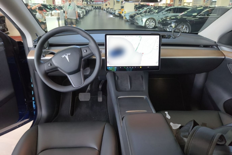 Tesla Model Y 2021 car image #10