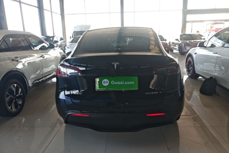 Tesla Model Y 2022 car image #6