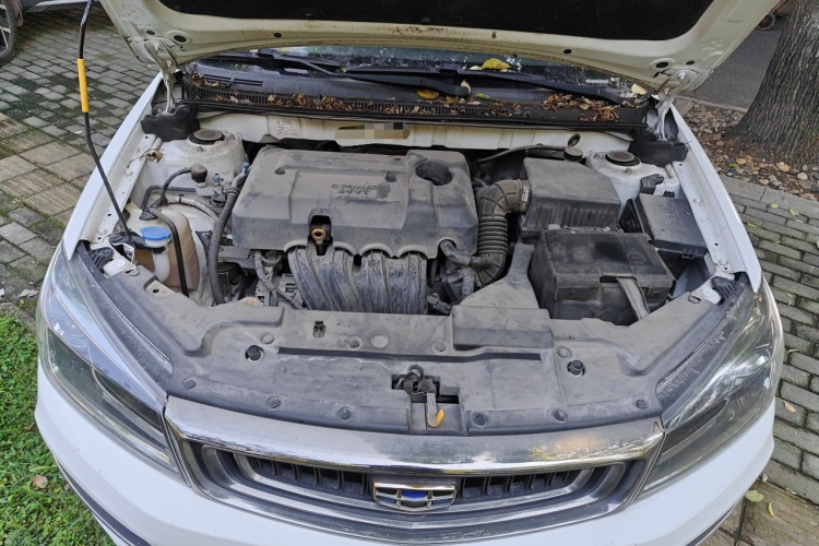 GEELY Emgrand 2019 car image #18