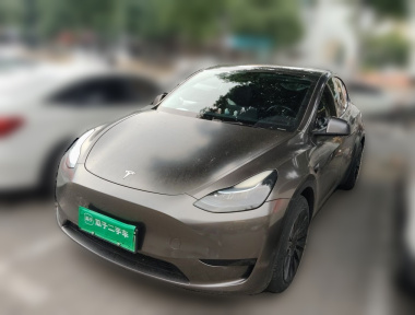 Tesla Model Y 2023 Tesla Model Y 2023 car image