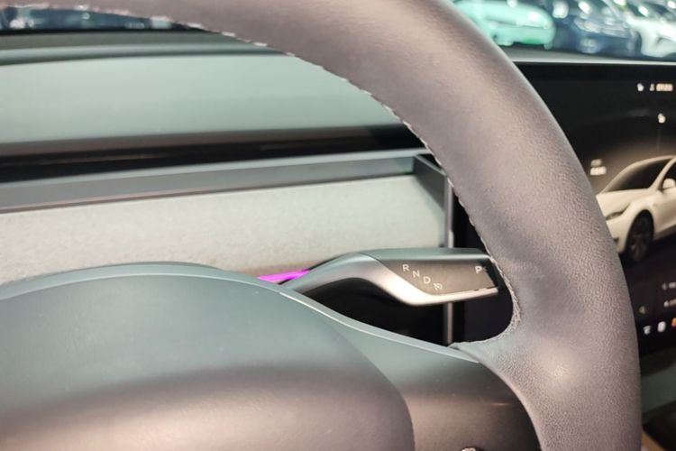 Tesla Model Y 2024 car image #14