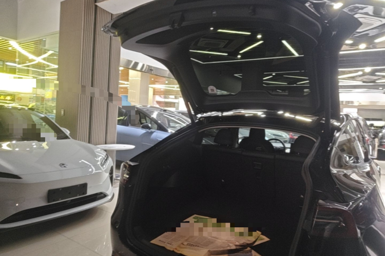 Tesla Model Y 2021 #19 Tesla Model Y 2021 car image #19