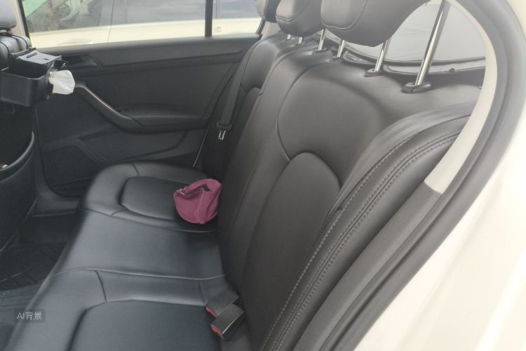 Volkswagen Santana 2016 car image #19