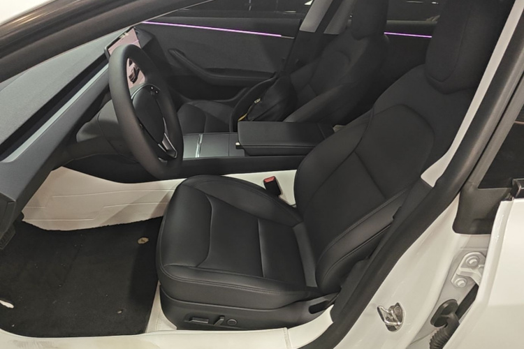 Tesla Model 3 2024 immagine di auto #15
