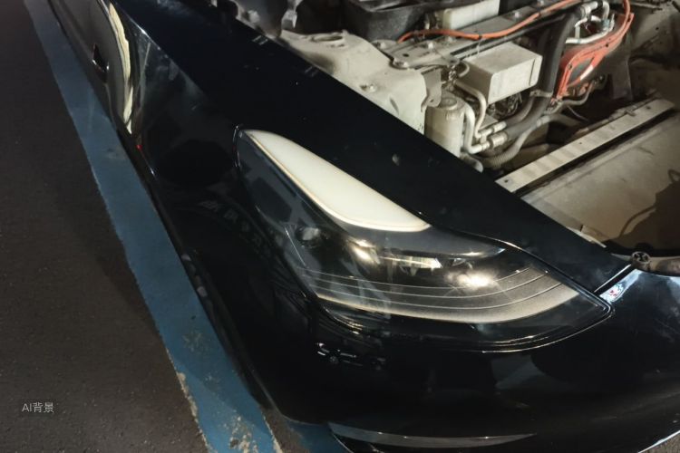 Tesla Model 3 2021 car image #8