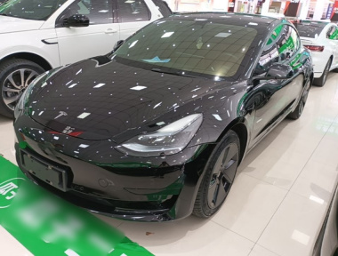 Tesla Model 3 2022 car image 