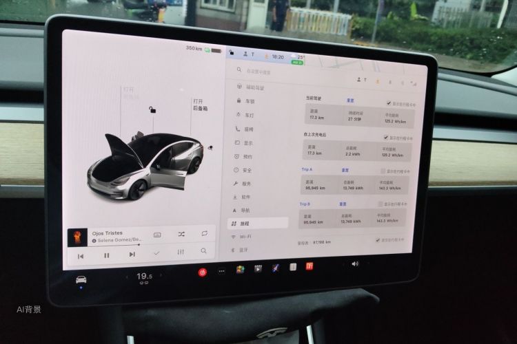 Tesla Model 3 2020 car image #15
