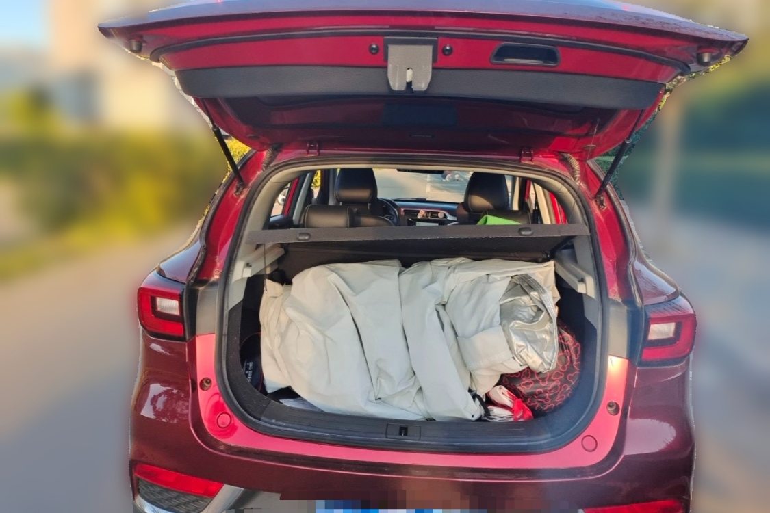 MG ZS 2018 car image #8