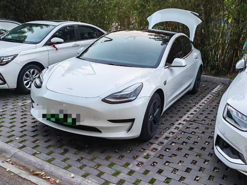 Tesla Model 3 2020 car image 