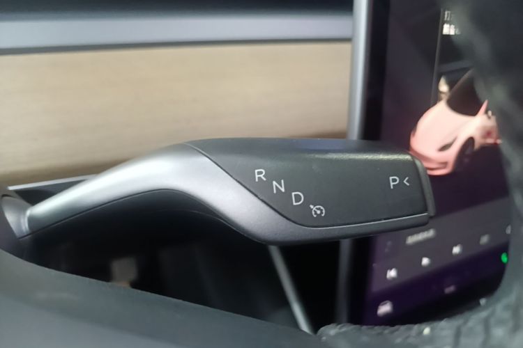 Tesla Model 3 2020 car image #14