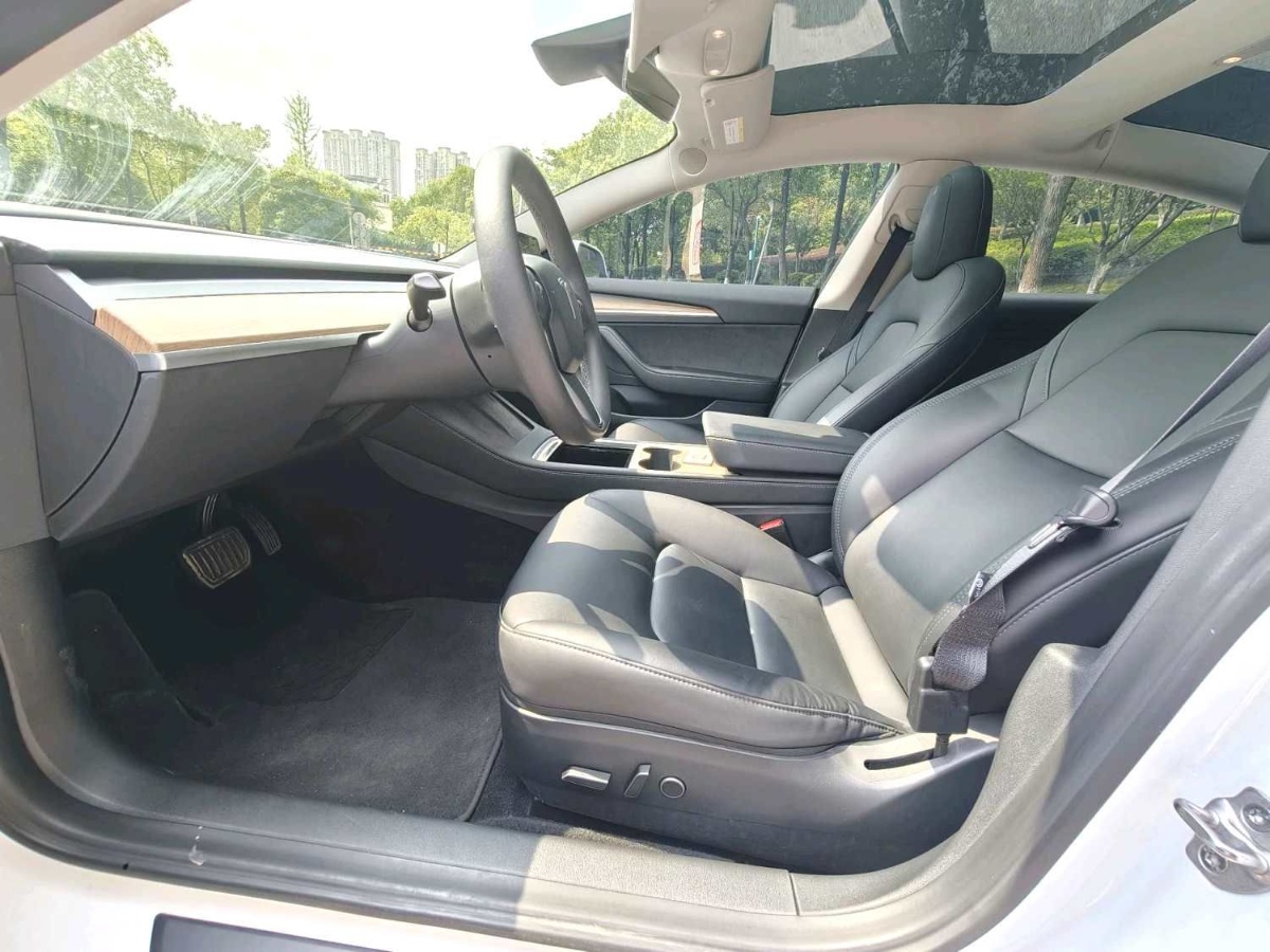 Tesla Model 3 2022 #4 Tesla Model 3 2022 car image #4