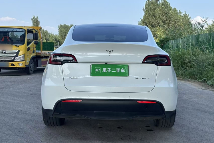 Tesla Model Y 2021 car image #6