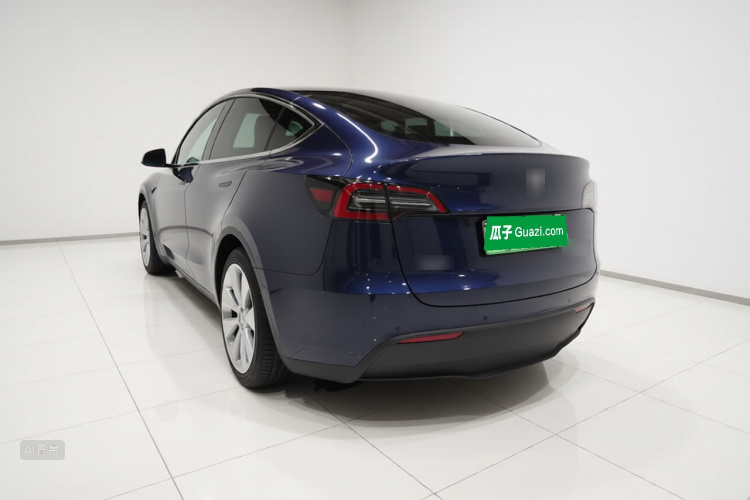 Tesla Model Y 2021 car image #5
