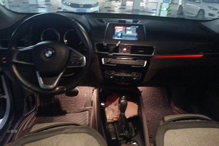 BMW X1 2018 car image #11