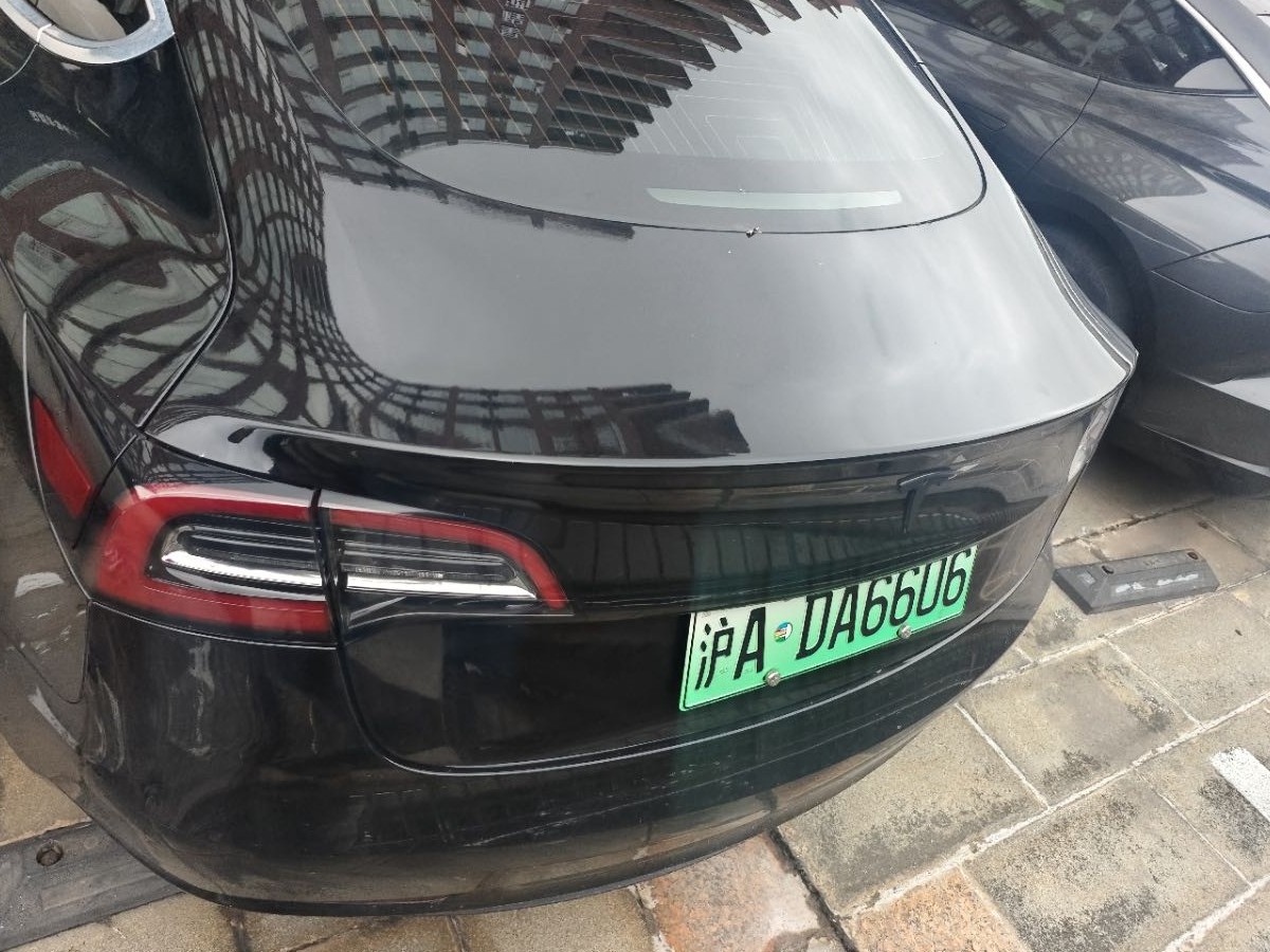 Tesla Model 3 2020 car image #6