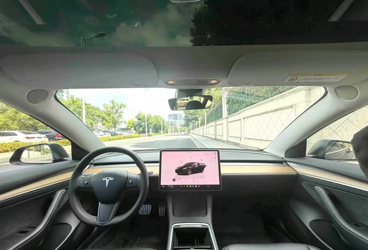 Tesla Model 3 2021 car image #3