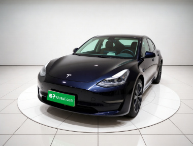 Tesla Model 3 2022 car image 