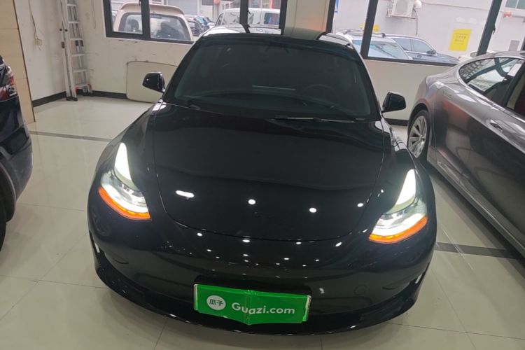 Tesla Model 3 2023 #3 Tesla Model 3 2023 car image #3