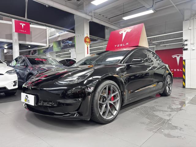 Tesla Model 3 2023 car image #13
