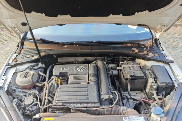 Volkswagen Golf 2019 #22 Volkswagen Golf 2019 car image #22