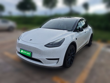 Tesla Model Y 2022 Tesla Model Y 2022 car image