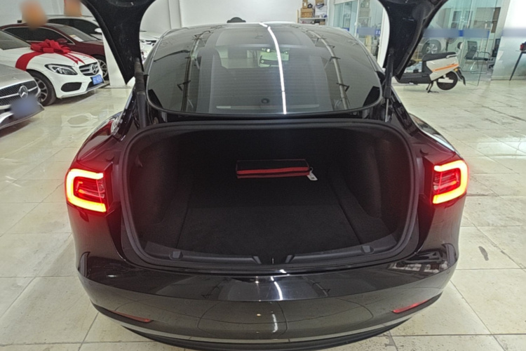 Tesla Model 3 2023 #19 Tesla Model 3 2023 car image #19