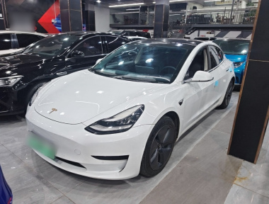 Tesla Model 3 2020 Tesla Model 3 2020 car image