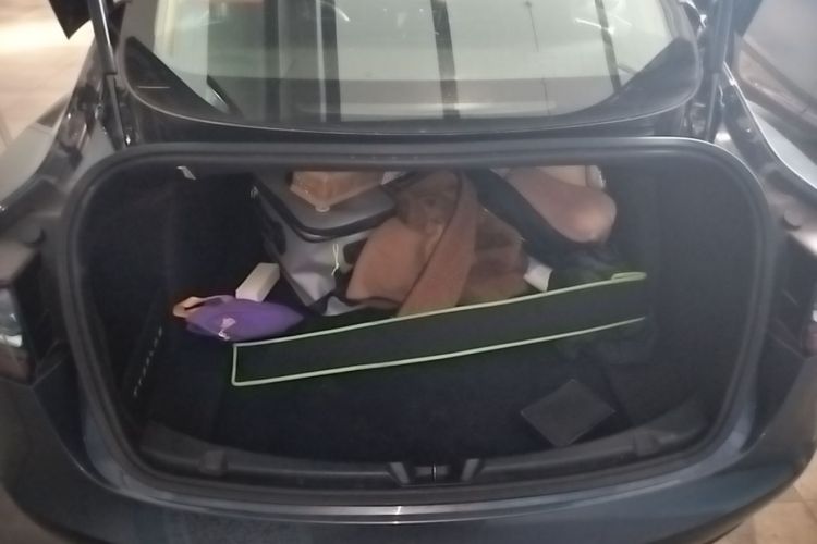 Tesla Model 3 2020 car image #19
