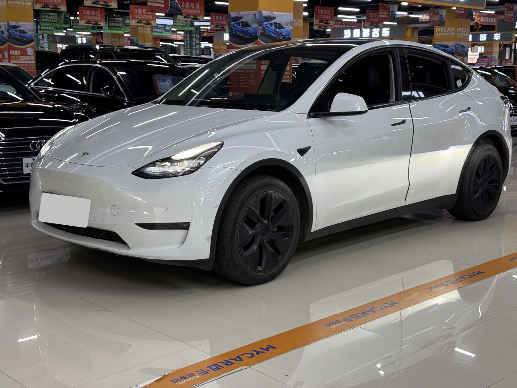 Tesla Model Y 2023 Tesla Model Y 2023 car image