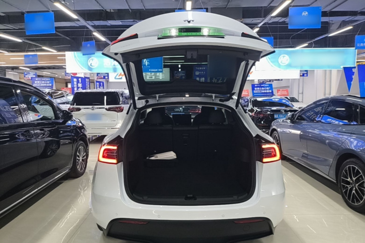 Tesla Model Y 2023 #19 Tesla Model Y 2023 car image #19