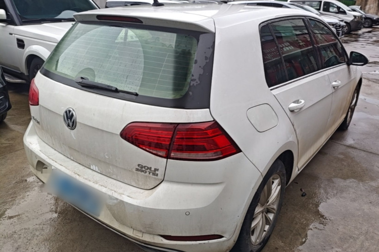 Volkswagen Golf 2019 #7 Volkswagen Golf 2019 car image #7
