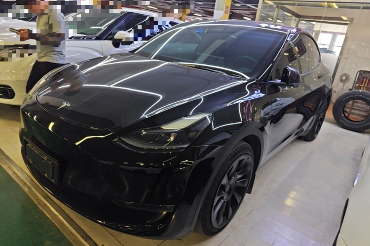 Tesla Model Y 2021 #2 Tesla Model Y 2021 car image #2