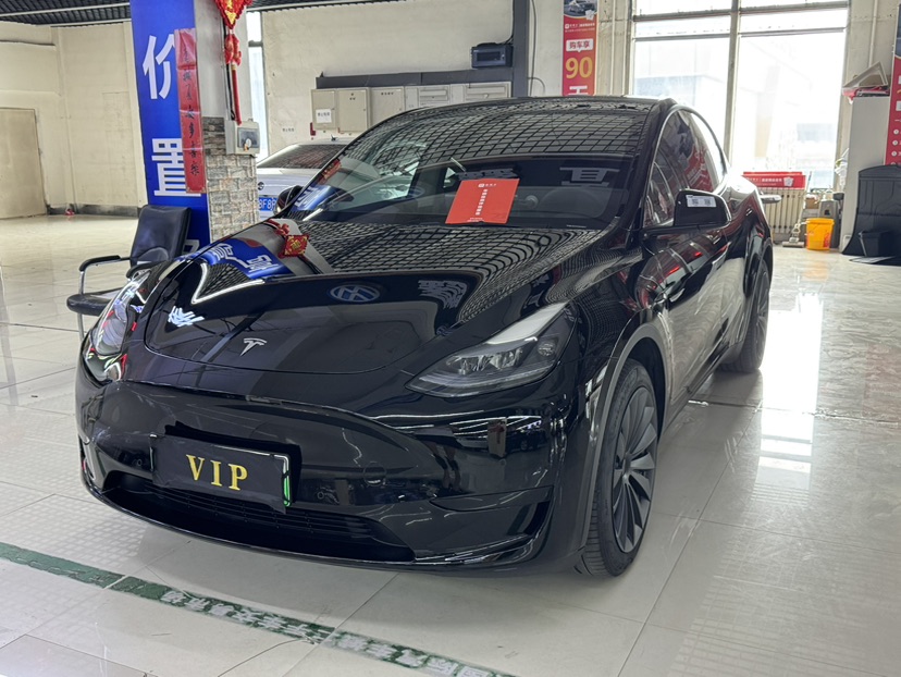 Tesla Model Y 2022 car image 