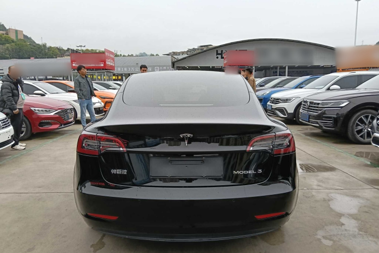 Tesla Model 3 2023 immagine di auto #6