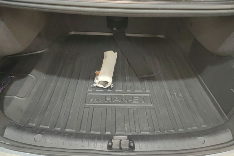 BYD Han 2023 car image #19