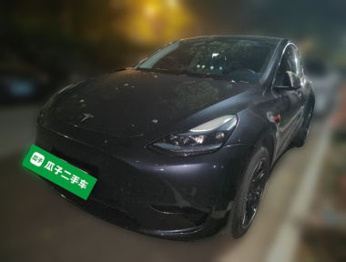 Tesla Model Y 2024 Tesla Model Y 2024 car image